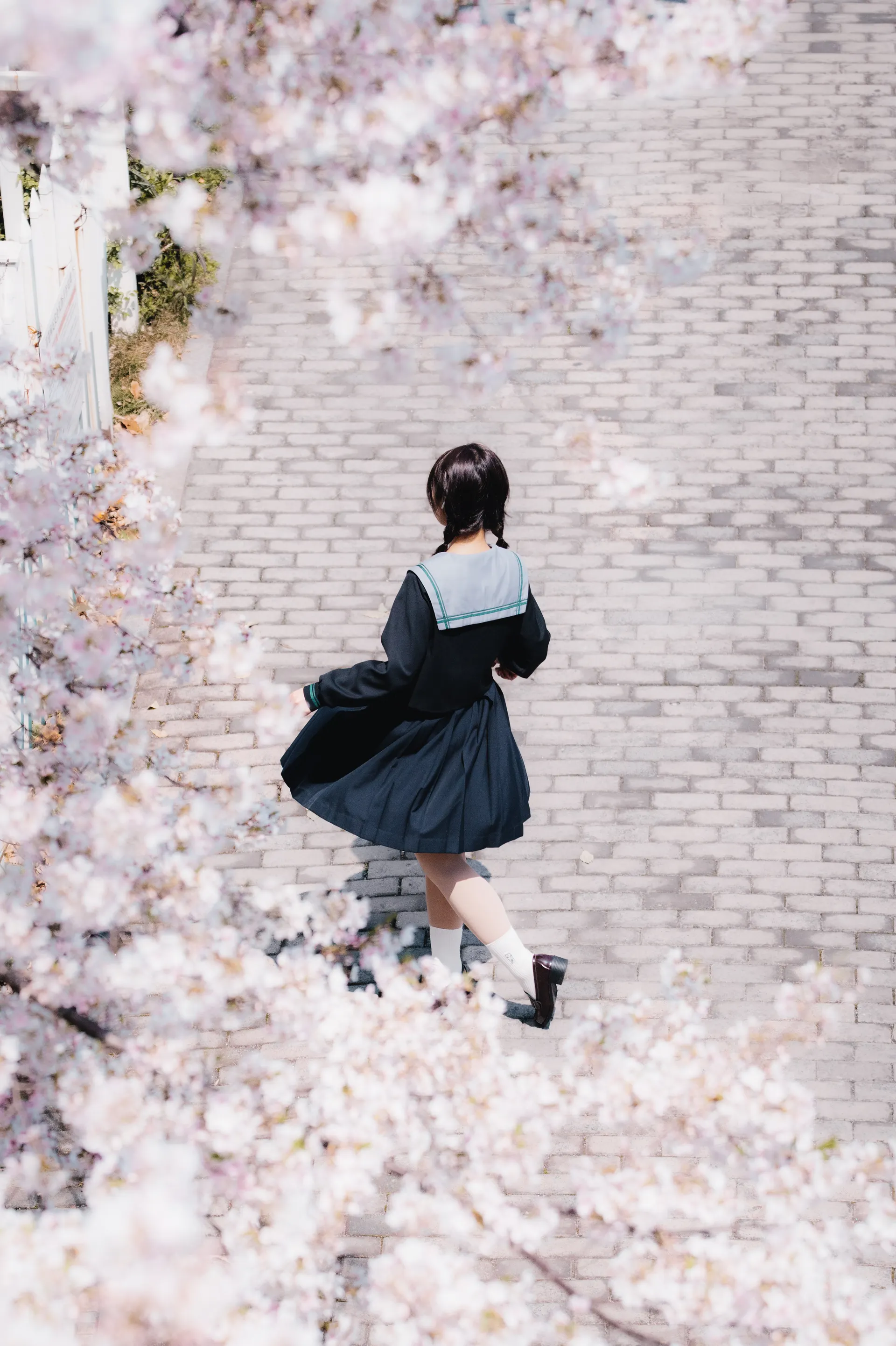 樱花